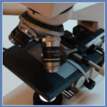 Microscopio