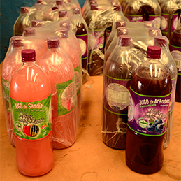 Botellas Fincas Siete Lunas de Sandía y Arándano