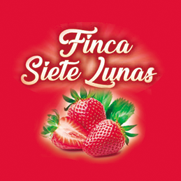 Bebida Fincas Siete Lunas de Frutilla