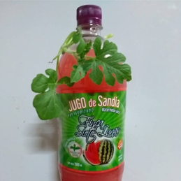 Bebida Fincas Siete Lunas de Sandía